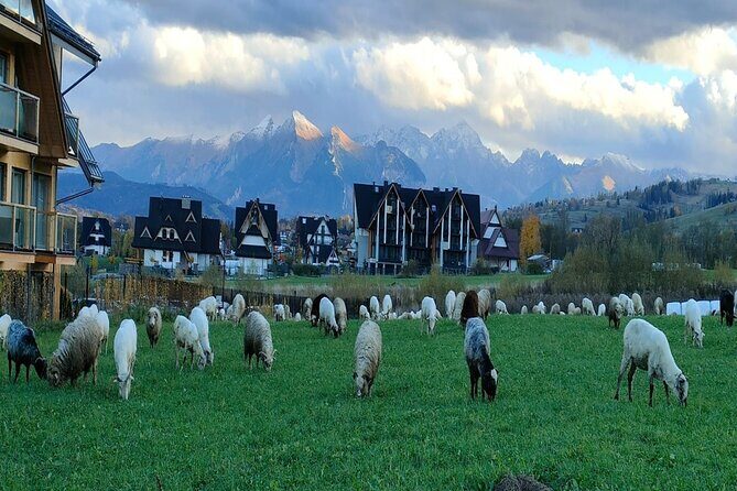 Zakopane and Thermal Pools Tour with Hotel Pickup - Key highlights worth planning for