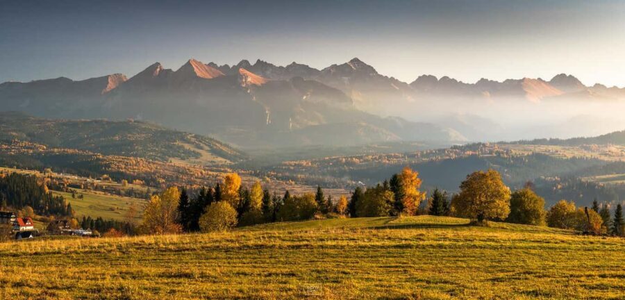 Zakopane: Buggy Off‑Road Adventure, Mountain Views & Bonfire - Who This Tour Fits Best (And Who It Doesn’t)