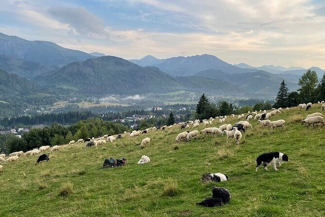 Zakopane full day tour with cable car & thermal baths from Krakow - Chochołowskie Thermal Baths: 2.5 hours with sulphide and brine water