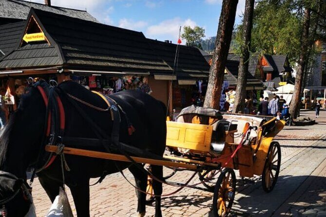 Zakopane Funicular Hill & Thermal Springs regular tour - Krakow pickup and the 10–12 hour rhythm