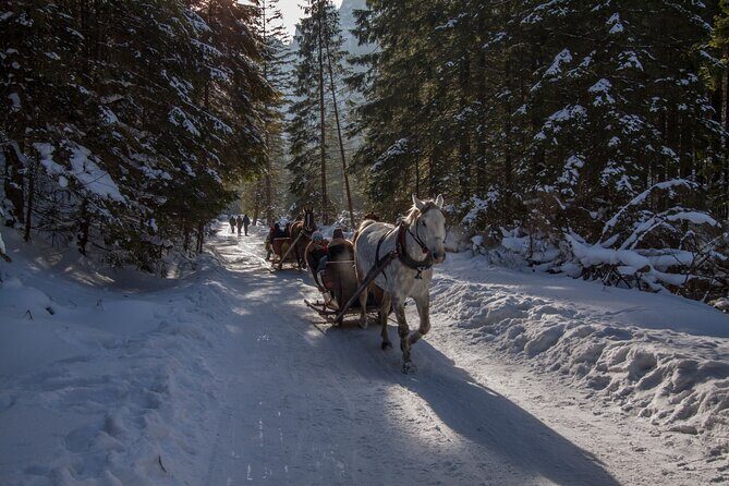 Zakopane Horse-Drawn Rides with Local Guide and Food Tasting - The role of the English-speaking driver and the small group size