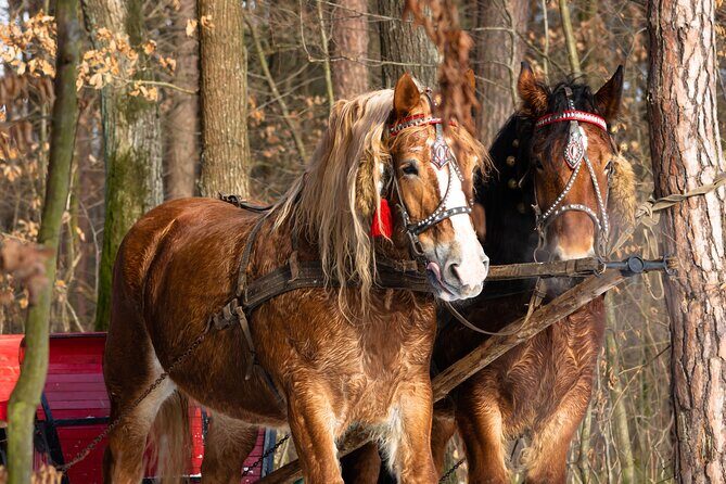 Zakopane Horse-Drawn Rides with Local Guide and Food Tasting - Timing and what 3 hours really means for your evening