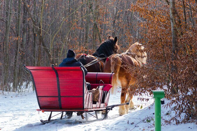 Zakopane Horse-Drawn Rides with Local Guide and Food Tasting - Who this tour is best for