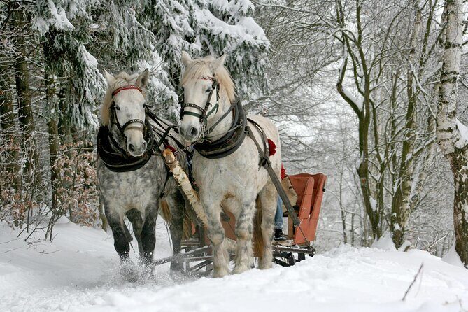 Zakopane Horse-Drawn Rides with Local Guide and Food Tasting - The ride itself: a 60-minute track with real countryside time
