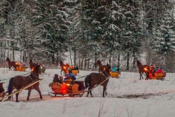 Zakopane Sleigh Ride in Tatra Mountains - The practical side: price, length, and getting there
