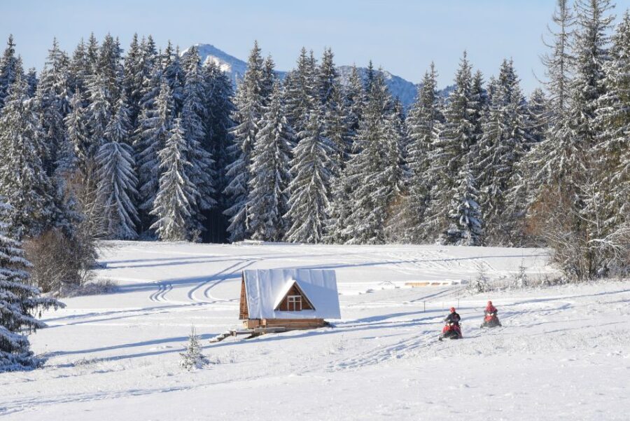 Zakopane: Snowmobiles Expedition and Optional Bonfire - Price and Value: What $100 Is Actually Buying You