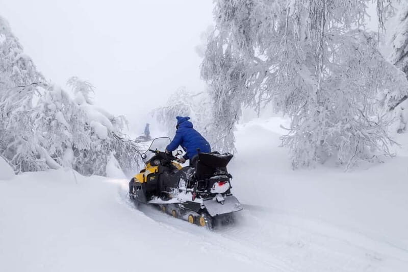 Zakopane: Snowmobiles (or Quads), Thermal Pools & Tasting - Witów tasting session: Local cheeses and regional drinks