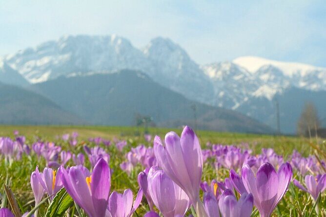 Zakopane & Tatra Mountains - Why this Zakopane day feels efficient (and not rushed)