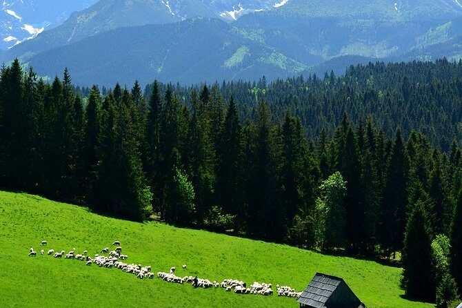 ZAKOPANE & THERMAL SPRINGS, Funicular, Cheese Tasting - One Long Day Trip That Actually Feels Organized