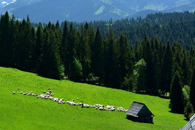 Zakopane Tour from Krakow – Highland Experience & Stunning Views - Zakopane town center: how you make the most of about 3 hours