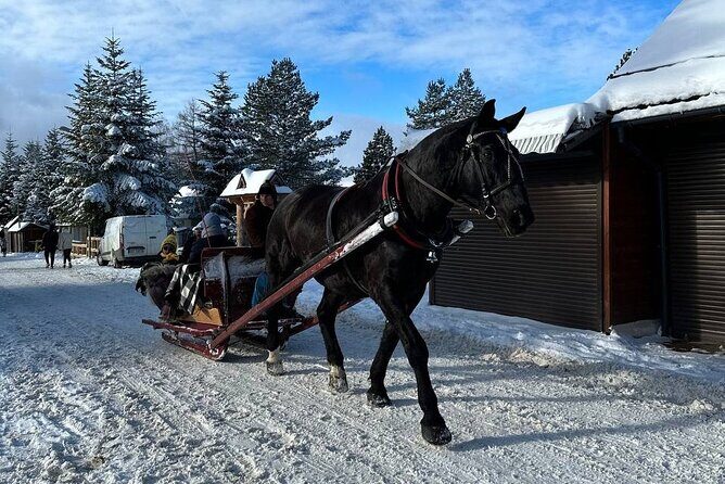 Zakopane Tour from Krakow with Thermal SPA and Hotel Pick up - Hotel Pickup in Krakow: Getting to the Mountains Without Stress
