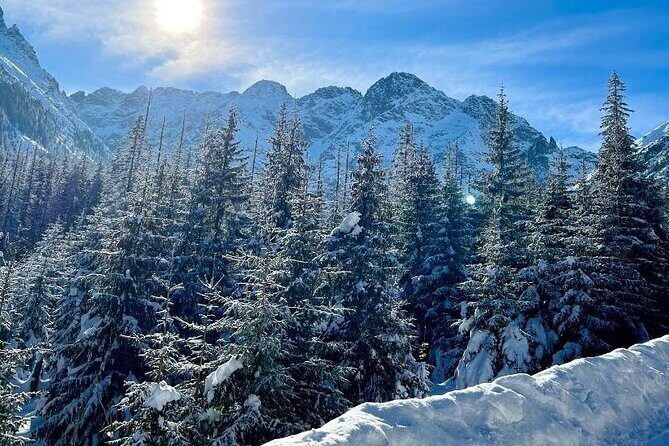 Zakopane Tour from Krakow with Thermal SPA and Hotel Pick up - Stop 5: Chocholowskie Termy Thermal Pools and Spa Time